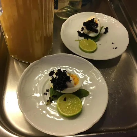 Hotel Stark מלון